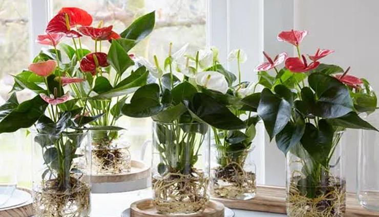 Mothers Day 2023 : अपनी मां को दें ये दिल छू लेने वाले तोहफे, चेहरे पर आएगी मुस्कान mother day gift ideas,unique gifts for mom,personalized gifts for mother day,best gifts for mom,thoughtful mother day gifts,creative gift ideas for mother day,gifts for mom from daughter son,surprise gifts for mom,mother day gift guide,affordable mother day gifts