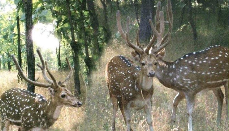 offbeat destination,silvassa,tourism,travel,amazing places to visit in silvassa,holidays