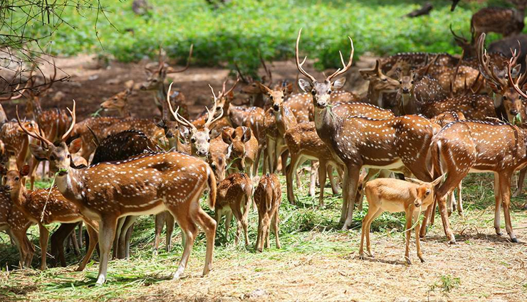 ooty,spots to visit in ooty,ooty travel,ooty travel tips,travel guide,travel,tourism