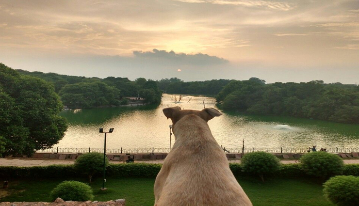 travel places,delhi travel places,delhi picnic spots