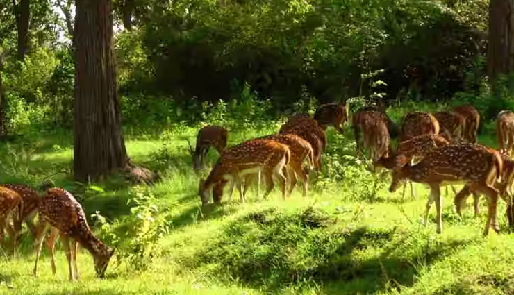 almora tourist attractions,places to visit in almora,almora sightseeing spots,almora hill station attractions,almora scenic spots,almora travel destinations,almora must-visit places,almora top tourist spots