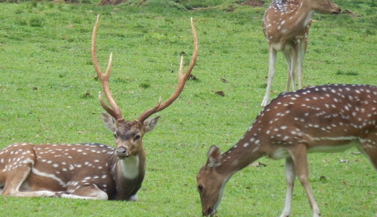 best picnic spots in delhi,delhi picnic places,top picnic spots near delhi,family picnic spots delhi,picnic gardens in delhi,delhi riverside picnic,picnic spots with kids in delhi,lakeside picnic spots delhi,quiet picnic places in delhi,budget picnic spots delhi,day outing picnic spots delhi,picnic spots for couples in delhi,historical picnic places delhi,picnic spots with activities in delhi,delhi nature picnic spots