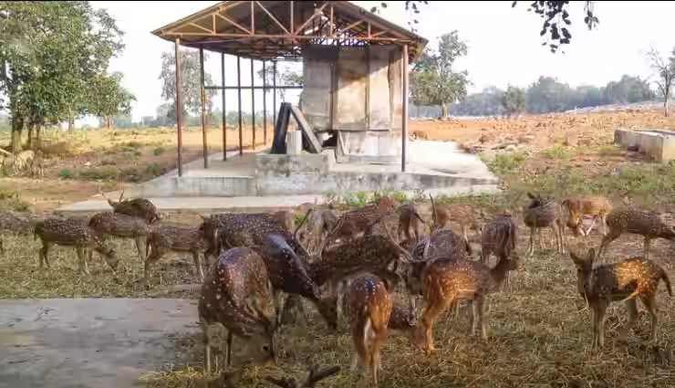 tirupati tourist places,must-visit places in tirupati,sri venkateswara swamy temple tirupati,sri govindaraja swamy temple,ammavari temple tirupati,sri kapileswaraswami temple,srikalahasti temple,sri venkateswara national park,deer park tirupati,talakona waterfalls,srivari padala mandapam,tirupati travel guide,top attractions in tirupati,places to visit in tirupati