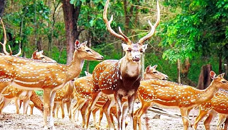 yercaud,yercaud tourism,yercaud travel guide,yercaud attractions,yercaud places to visit,tamil nadu tourism,tamil nadu hill stations,india hill stations,nature tourism,adventure tourism,family tourism,honeymoon destinations,indian travel,india tourism,travel blog,travel guide,travel tips