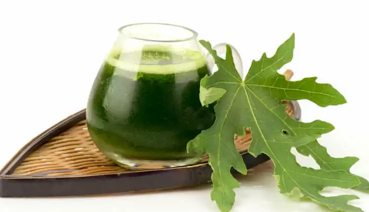 papaya leaf juice,goat milk,extract of giloy plant,juice of guava,punarnava,home remedies,home remedies to treat dengue,dengue,Health tips,fitness tips