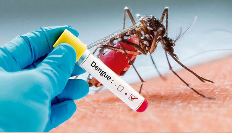 dengue,dengue in hindi,platelet,blood platelet,dengue treatment,dengue treatment in hindi,Health,health tips in hindi