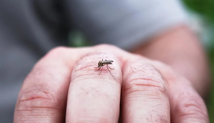 the most common diseases in monsoon,common diseases with precautions,healthy living,Health tips