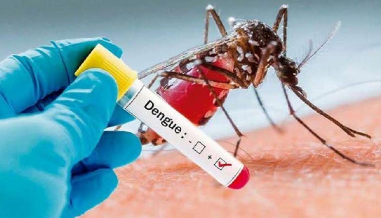 बीकानेर : कोरोना के साथ डेंगू भी कर रहा परेशान, नौ रोगीयों का हुआ खुलासा, एक की मौत