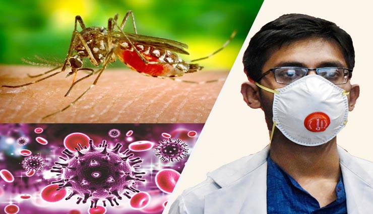 जयपुर : कोरोना के साथ डेंगू भी बना बड़ी आफत, 400 के पार हो गया मरीजों का आंकड़ा
