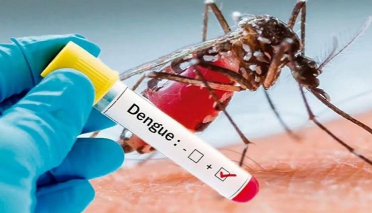 बीकानेर : कोरोना के बाद अब डेंगू बन रहा परेशानी, हर दूसरे दिन मिल रहा नया रोगी 