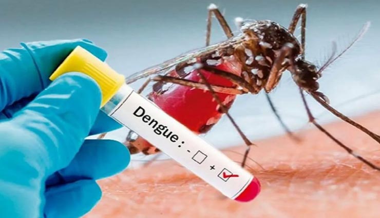 मध्यप्रदेश में हुई डेंगू से पहली मौत, 4 दिन पहले हुआ था संक्रमित 