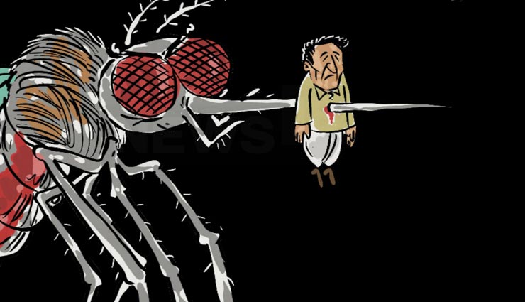 जयपुर : डेंगू ने उड़ाई चिकित्सा विभाग की नींद, सिर्फ अगस्त में ही सामने आए 8 माह में सबसे ज्यादा 110 मामले
