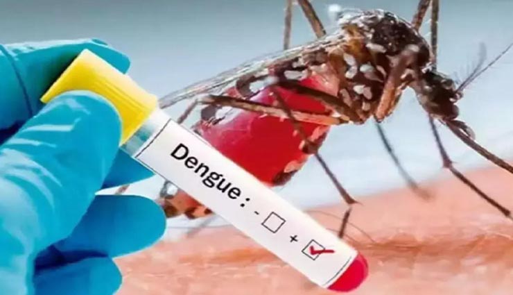 कोटा : डेंगू बढ़ा रहा आमजन की चिंता, 250 के पार हो गया सितंबर महीने का आंकड़ा