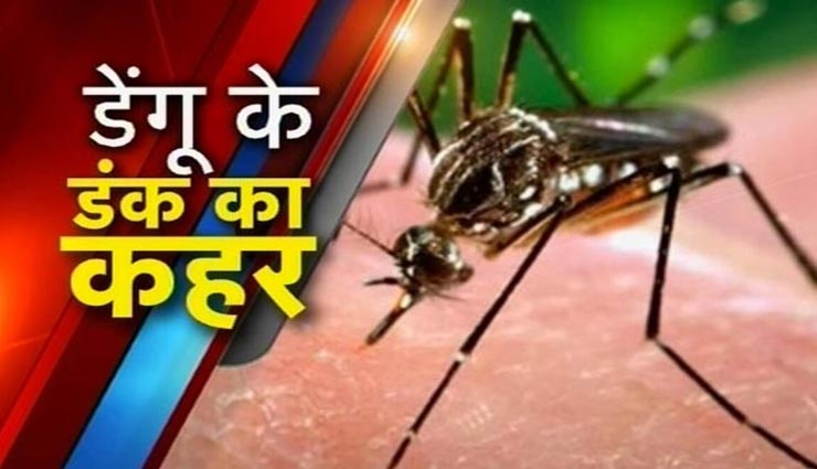 राजस्थान में दिख रहा डेंगू का खतरनाक रूप, मिल चुके 5000 मामले, गई 25 लोगों की जान