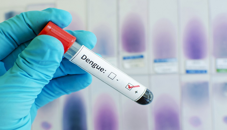 जयपुर की चिंता बढ़ा रहा डेंगू, दो लोगों की हो गई मौत, अब अस्पतालों में होने लगी प्लेटलेट्स की किल्लत