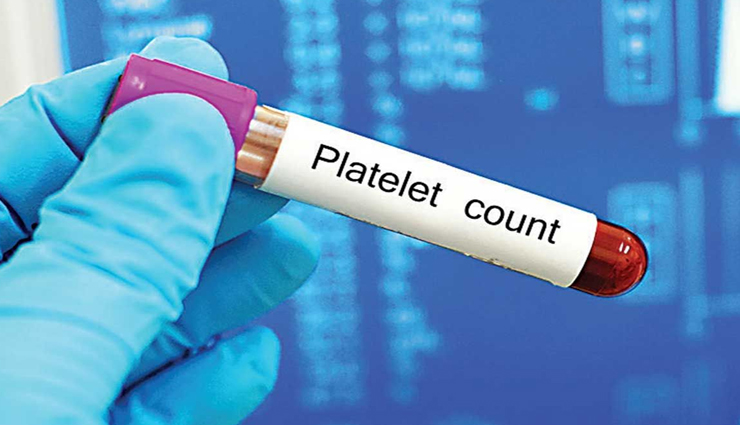 जारी हैं डेंगू का आतंक, शरीर की प्लेटलेट्स और ब्लड सेल्स बढ़ाने के लिए आजमाए ये देसी नुस्खें 