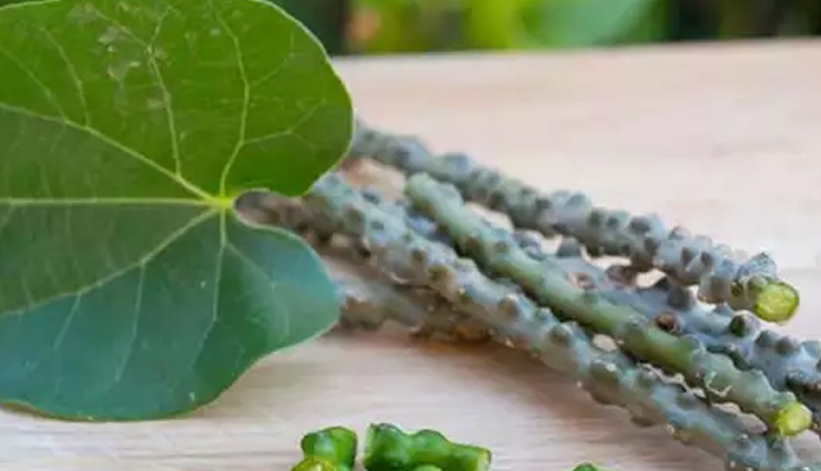 papaya leaf juice,goat milk,extract of giloy plant,juice of guava,punarnava,home remedies,home remedies to treat dengue,dengue,Health tips,fitness tips