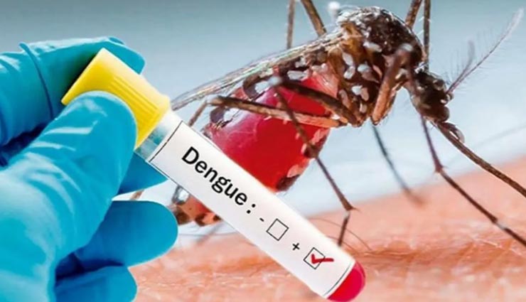 फिरोजाबाद के लिए कोरोना से ज्यादा घातक साबित हुआ डेंगू-बुखार, एक ही महीने में ले ली 223 की जान 