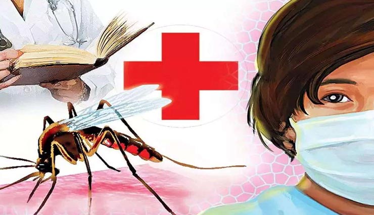 भीलवाड़ा : एलाइजा टेस्ट में हो चुकी 500 से ज्यादा डेंगू पीड़ित मरीजों की पहचान, चिकित्सा विभाग की 100 टीम सक्रिय