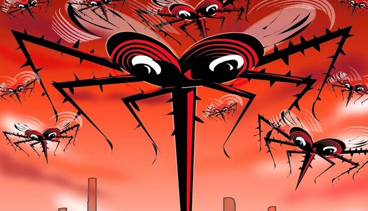 डेंगू के सामने विफल हो रहा चिकित्सकीय ढांचा, दिखा 70 साल में सबसे खतरनाक रूप, मिले पिछले साल से 510% अधिक रोगी