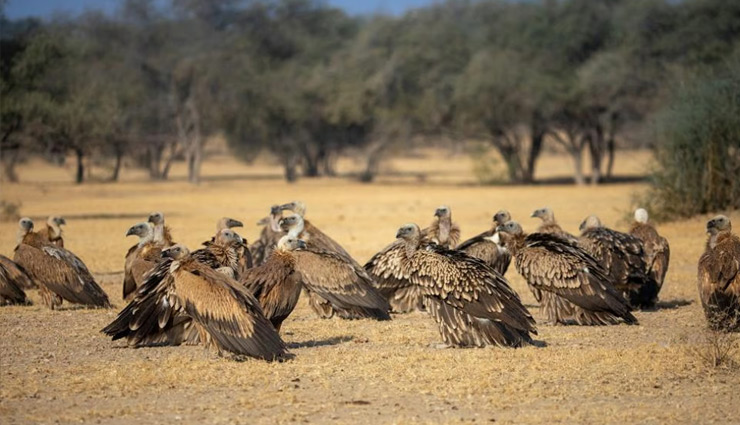 jaisalmer tourist attractions,top places to visit in jaisalmer,best things to do in jaisalmer,major tourist spots in jaisalmer,khuri sand dunes jaisalmer,lodurva jain temples,khaba fort jaisalmer,haunted village kuldhara,mehrangarh fort near jaisalmer,desert national park rajasthan,sam sand dunes jaisalmer,jaisalmer desert festival,jaswant thada near jaisalmer,jaisalmer sightseeing,jaisalmer desert adventure
