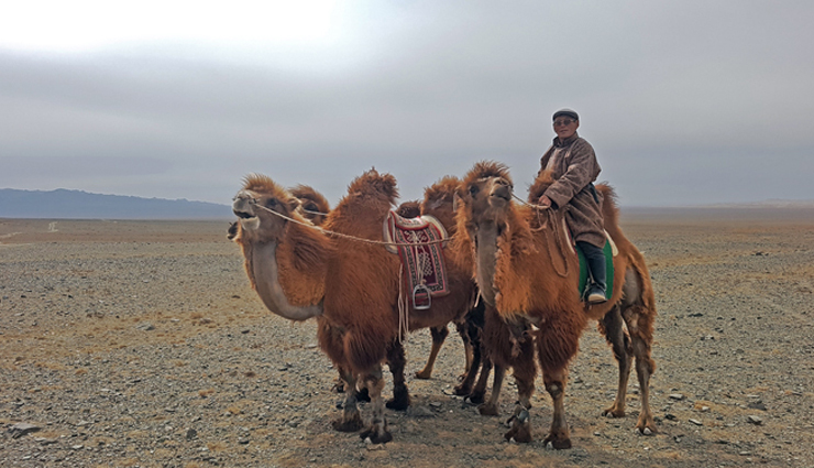 famous deserts,deserts to visit in the world,antarctic desert,arctic desert,the sahara desert,arabian desert,gobi desert,kalahari desert