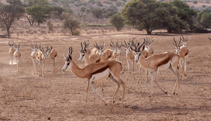 famous deserts,deserts to visit in the world,antarctic desert,arctic desert,the sahara desert,arabian desert,gobi desert,kalahari desert