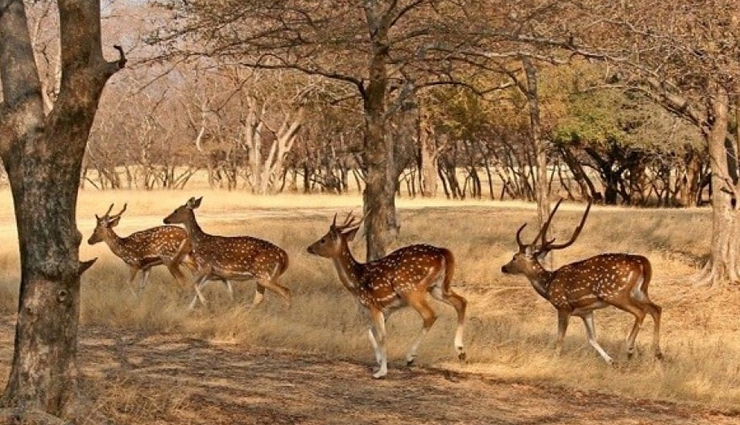 jaisalmer tourist attractions,best places to visit in jaisalmer,jaisalmer sightseeing,top tourist spots in jaisalmer,jaisalmer travel guide,must-see places in jaisalmer,jaisalmer historical sites,explore jaisalmer beauty,jaisalmer heritage destinations,jaisalmer desert attractions