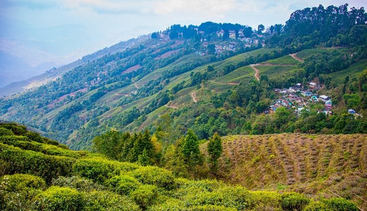 gangtok,sikkim,darjeeling,west bengal,shillong,meghalaya,kodaikanal,tamil nadu,andaman nicobar,islands,munnar,kerala,coorg,karnataka,exotic monsoon destinations,monsoon destinations in india,places to visit in india