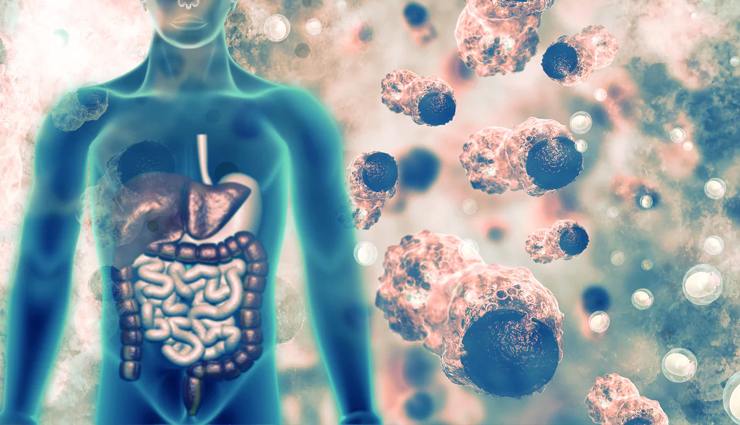 health benefits of isabgol,isabgol for digestive health,psyllium husk benefits,isabgol weight management,isabgol for cholesterol,blood sugar control with isabgol,isabgol gut health,colon cleansing benefits of isabgol,isabgol for hemorrhoid relief,isabgol for clear skin