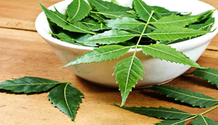 detoxification,herbs for detoxification,Health tips,healthy herbs,herbs to eat,fitness tips