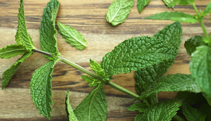 detoxification,herbs for detoxification,Health tips,healthy herbs,herbs to eat,fitness tips