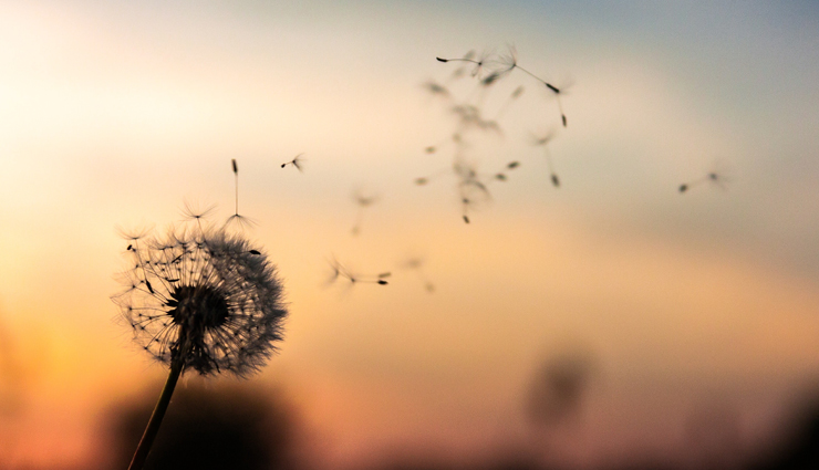 20 Inspirational Quotes About Development and Learning To Keep You All Charged Up