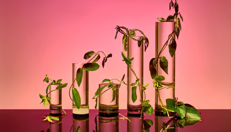 inspirational quotes about development,life development quotes,famous quotes