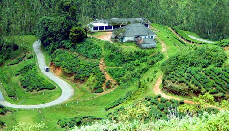 best places to visit in munnar,top munnar attractions,munnar sightseeing spots,munnar tourist destinations,famous places in munnar,munnar must-see locations,munnar travel guide,things to do in munnar,scenic places in munnar,munnar hill station highlights,munnar tea plantations,tata tea museum munnar,devikulam munnar,echo point munnar,meesapulimala trek munnar,elephant lake munnar,attukad falls munnar,kundala lake munnar,munnar natural beauty spots,munnar adventure activities,munnar picturesque locations,munnar tourist experiences,hidden gems in munnar,munnar visit guide