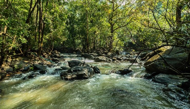 offbeat things to do in goa,hidden places in goa,unique experiences in goa,goa beyond beaches,non-touristy goa activities,goa travel guide,adventure in goa,goa cultural experiences,unexplored goa,alternative goa itinerary,goa local experiences