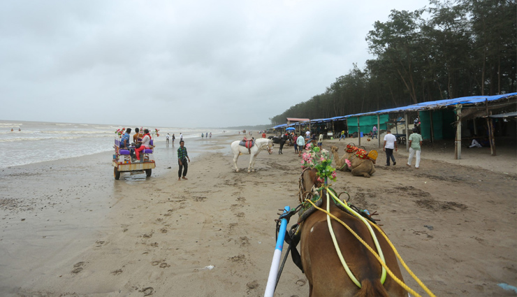 gujarat beaches,popular beaches in gujarat,mandvi beach gujarat,dwarka beach gujarat,porbandar beach attractions,jamnagar beach guide,ghogla beach diu,jallandhar beach diu,devka beach diu,dandi beach surat,tithal beach south gujarat,best beaches in gujarat,gujarat coastal attractions,beach vacation gujarat,gujarat beach getaways,hidden beaches gujarat,beach destinations in gujarat,gujarat beach travel guide,explore gujarat beaches,gujarat beach holiday spots
