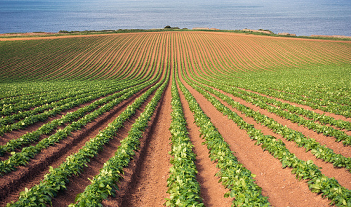 must visit tourist attraction in dhanaulti,holiday,travel,tourism