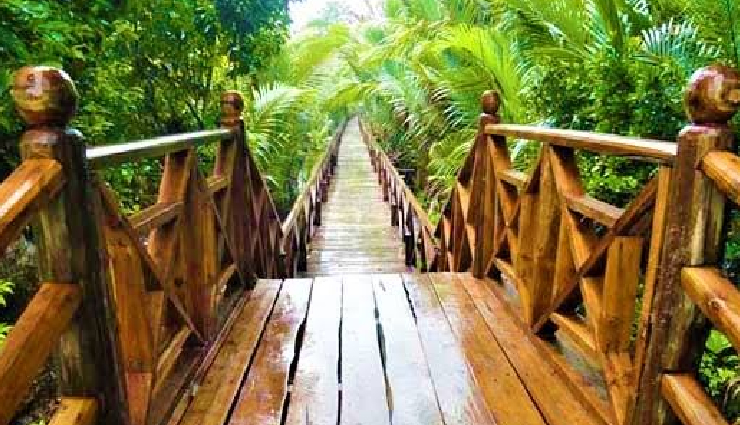 andaman mangrove walkways,natural mangrove trails in andaman,mangrove exploration in andaman,mangrove boardwalks in andaman,dhani nallah mangrove walk,yerrata mangrove interpretation center,baratang mangrove canopy walk,ross island mangrove pathways,andaman mangrove tourism,mangrove eco-tourism in andaman,discovering andaman mangrove forests,andaman nature walks,best mangrove walks in india,mangrove conservation in andaman,eco-friendly mangrove trails,andaman natural wonders,mangrove forests of andaman,exploring andaman biodiversity,sustainable tourism in andaman,andaman eco-adventures