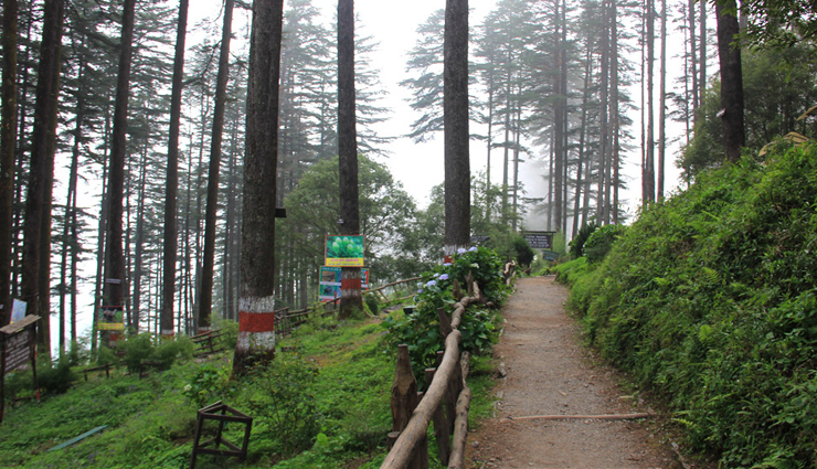 mussoorie,mussoorie holidays,holidays,travel