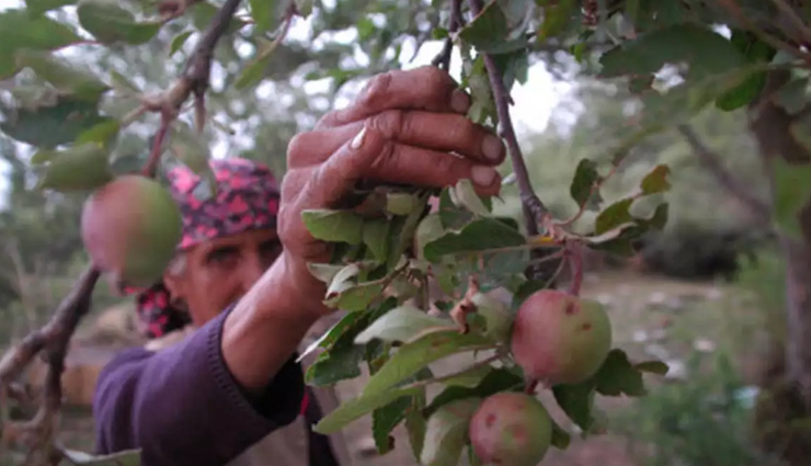 dharamshala,things to do in dharamshala,places to visit in dharamshala