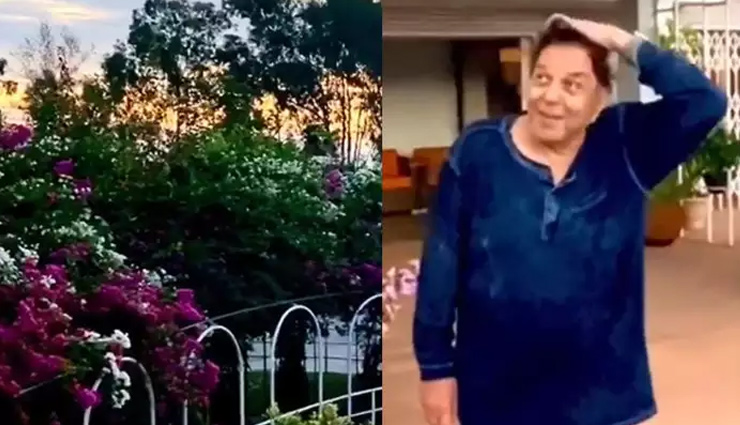 धर्मेंद्र ने सोशल मीडिया पर शेयर किया अपने फार्महाउस का खूबसूरत वीडियो,  साथ में कही ये बात