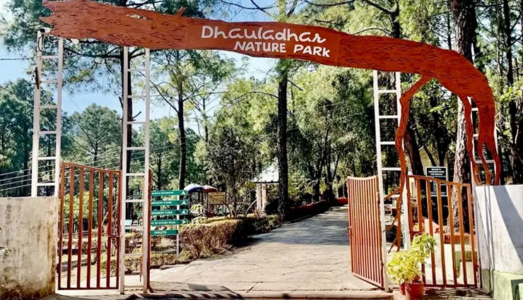 tourist spots in palampur,beautiful places in palampur,palampur tea gardens,chamunda devi temple palampur,pottery at andretta,tashi jong monastery,baijnath shiva temple,neugal khad palampur,saurabh van vihar,dhauladhar national park,palampur toy train ride,palampur tea experience