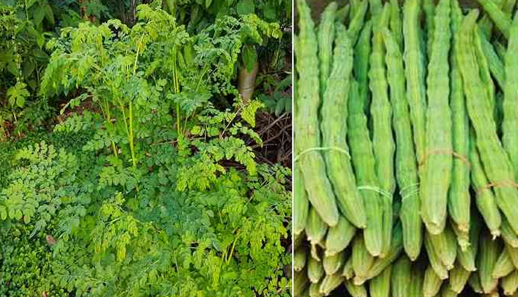 home remedies for diabetes,world diabetes day 2022,diabetes diabetes care tips,Health tips,fitness tips