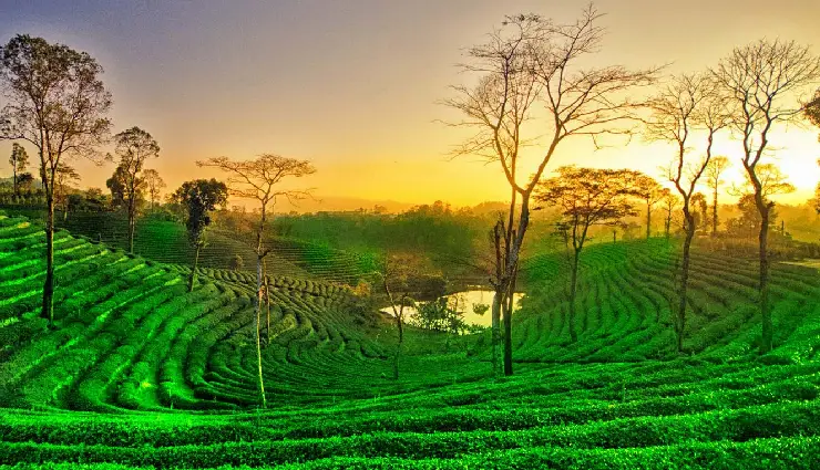 assam tourism,places to visit in assam,assam travel guide,assam tea gardens,guwahati attractions,sualkuchi silk village,tezpur city of romance,assam culture and festivals,assam natural beauty,assam honeymoon destinations,assam vacation spots,assam history and heritage