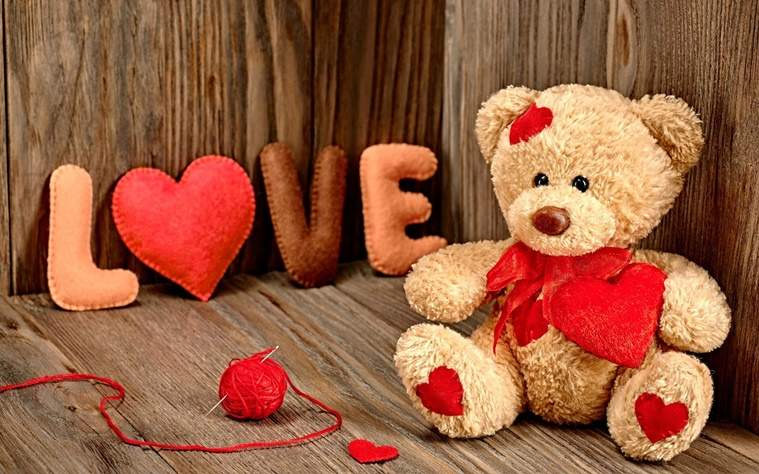 valentines special,valentines special 2018,different colors of teddy,meaning of colors of teddy,teddy bear day