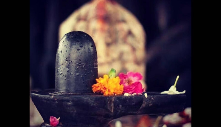 flowers to offer to lord shiva,lord shiva,shiv pooja,lord shiv pooja,sawan shiv pooja,sawan