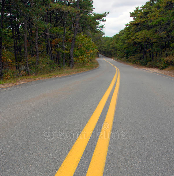 lines painted on road,meaning of lines painted on road