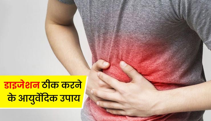 आपका डाइजेशन ठीक करेगी ये 5 आयुर्वेदिक औषधियां, जानें और रहें स्वस्थ

