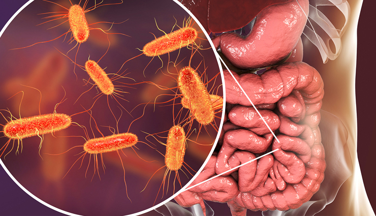 pineapple sage tea,benefits of pineapple sage tea,health benefits,Health tips,simple health tips